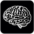 Brain icon in black and white