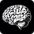 Brain icon in black and white over white