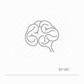 Brain icon isolated. Single thin line symbol of human brain.