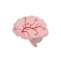 Brain icon isolated on white background, medical illustration in flat design. Cerebral circulation and spasm of cerebral