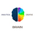 Brain icon. Left brain part - analytical. Right hemisphere of brain - creative. Vector illustration Royalty Free Stock Photo