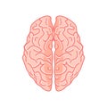 Brain illustration in top view.on white background eps Royalty Free Stock Photo