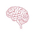 Brain. The image of the brain in a linear style. The silhouette of the human brain. Vector illustration isolated on a Royalty Free Stock Photo