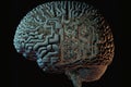 Brain Implanted with Artificial Inteligence microchips. Ai brain. Human brain implanted with Ai microchip. Ai generated