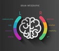 Brain infographic concept