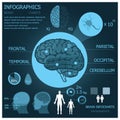 Brain Infographic Infocharts