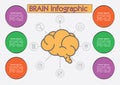 Brain infographic. Vector illustration decorative background design