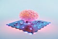 A brain interfaced with a computer chip. The future of neural tech and brain-computer connections