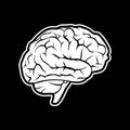 Brain, isolated . Royalty Free Stock Photo