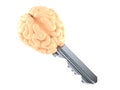 Brain key Royalty Free Stock Photo