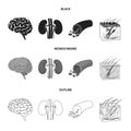Brain, kidney, blood vessel, skin. Organs set collection icons in black,monochrome,outline style vector symbol stock Royalty Free Stock Photo