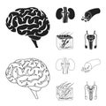 Brain, kidney, blood vessel, skin. Organs set collection icons in black,outline style vector symbol stock illustration Royalty Free Stock Photo