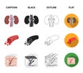 Brain, kidney, blood vessel, skin. Organs set collection icons in cartoon,black,outline,flat style vector symbol stock Royalty Free Stock Photo