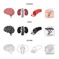 Brain, kidney, blood vessel, skin. Organs set collection icons in cartoon,black,outline style vector symbol stock Royalty Free Stock Photo