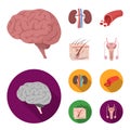 Brain, kidney, blood vessel, skin. Organs set collection icons in cartoon,flat style vector symbol stock illustration