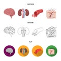 Brain, kidney, blood vessel, skin. Organs set collection icons in cartoon,outline,flat style vector symbol stock Royalty Free Stock Photo