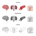 Brain, kidney, blood vessel, skin. Organs set collection icons in cartoon,outline,monochrome style vector symbol stock Royalty Free Stock Photo