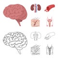 Brain, kidney, blood vessel, skin. Organs set collection icons in cartoon,outline style vector symbol stock illustration Royalty Free Stock Photo