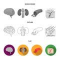 Brain, kidney, blood vessel, skin. Organs set collection icons in flat,outline,monochrome style vector symbol stock Royalty Free Stock Photo