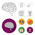 Brain, kidney, blood vessel, skin. Organs set collection icons in outline,flat style vector symbol stock illustration Royalty Free Stock Photo