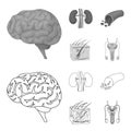 Brain, kidney, blood vessel, skin. Organs set collection icons in outline,monochrome style vector symbol stock Royalty Free Stock Photo