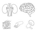 Brain, kidney, blood vessel, skin. Organs set collection icons in outline style vector symbol stock illustration web. Royalty Free Stock Photo