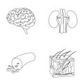 Brain, kidney, blood vessel, skin. Organs set collection icons in outline style vector symbol stock illustration web.