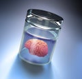 Brain in a large jar