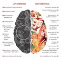 Brain left and right hemispheres infographics vector illustration
