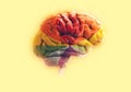 brain with LGBT colors on a yellow background.3d illustration