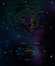 Brain lobes and neuron anatomy. Axons, dendrites, cell body, myelin and synaptic cleft. Neuroscience infographic on space