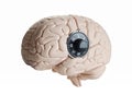 Brain lock Royalty Free Stock Photo