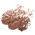 Brain Loss Royalty Free Stock Photo