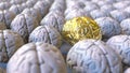 Brain made of gold among the ordinary ones. Genius, mastermind, talent or education conceptual 3D rendering Royalty Free Stock Photo