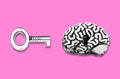 Brain and master key isolated on pink background