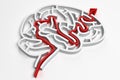 Brain maze Royalty Free Stock Photo