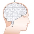 Brain Maze Royalty Free Stock Photo