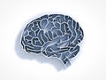 Brain maze Royalty Free Stock Photo