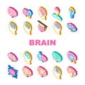 brain mind human head icons set vector Royalty Free Stock Photo