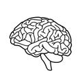 Brain or mind side view line art vector icon for medical apps and websites