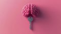 Brain model and key on pink background symbolizing unlocking potential or knowledge