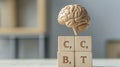 Brain Model On Therapy Blocks Representing Mental Health Support On Light Wooden Surface and Gray Background. Concept Of Cognitive Royalty Free Stock Photo