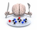 Brain and molecular food concepts Royalty Free Stock Photo