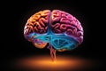 Brain neurogenesis hippocampus, prefrontal cortex intelligence, neurology and human memory