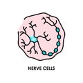 Brain neuron cell color line icon. Microorganisms microbes, bacteria.