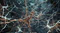 Brain neuron cells and synapses. Medical concept of scientific research in brain neurobiology