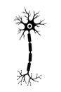 Brain neuron symbol. Human neuron cell sign. Synapses, myelin sheat, cell body, nucleus, axon and dendrites icon