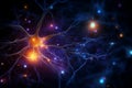 Brain neurons are cells that transmit electrical signals