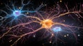 Brain neurons are cells that transmit electrical signals
