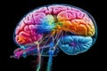 Brain Neurons send signals via axons & dendrites, creating synapses. Neurotransmitters aid mind neuro communication. Ion channels.